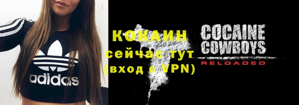 гашик Богданович