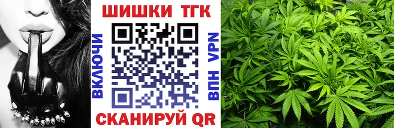 Каннабис сатива  Казань 